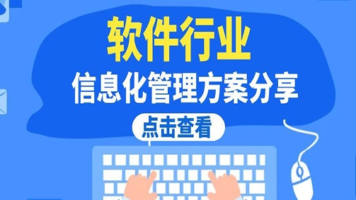 软件行业信息化管理方案分享